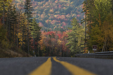 Fall foliage along the Kancamagus Highway in New Hampshire - AURF05082