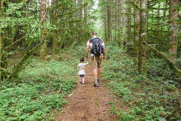 Vater mit seiner Tochter beim Wandern auf dem Horse Rock Ridge Trail in der Nähe von Eugene, Oregon. - AURF05090