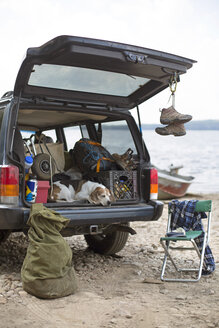 Hund entspannt sich auf dem Kofferraum eines Autos auf einem Road Trip in den Adirondacks - AURF05096