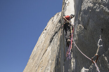 Klettern am El Cap - AURF05098