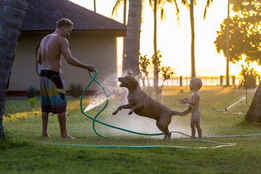 Vater, kleiner Sohn und Hund planschen im Wasser des Gartenschlauchs bei Sonnenuntergang, Kertasari, Sumbawa, Indonesien - AURF05102