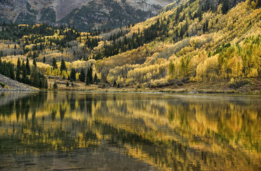 Herbstfarben bei den Maroon Bells - AURF05107