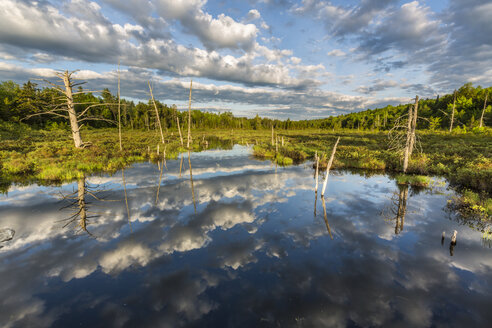 Clouds Reflexion in einem Teich Maine's North Woods in der Nähe von Greenville, Maine - AURF05141