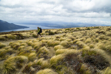 Wandern auf dem Kepler Track, Fiordland National Park, Neuseeland - AURF05171
