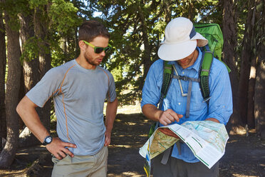 Wanderer prüfen die Wanderkarte. Timberline Trail, Mt Hood, OR - AURF05177