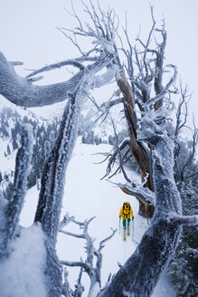 Mann beim Skilanglauf, Wasatch Backcountry, Utah, USA - AURF05253