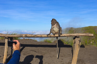 Man using smart phone take a photo of monkey at the top of Batur Volcano,Bali,Indonesia - AURF05309