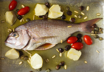 Roher Fisch wird gewürzt und für eine Mahlzeit zubereitet Bologna, Italien - AURF05414