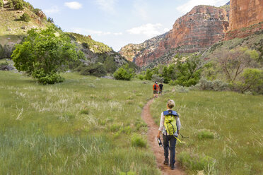 Rafting auf dem Yampa - AURF05419