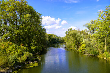 Deutschland, Bayern, Schwaben, Wertach bei Bad Wörishofen, Fluss Wertach - LBF02106