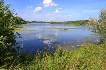 Deutschland, Bayern, Schwaben, Wertach bei Bad Wörishofen, Frankenhofner See - LBF02107