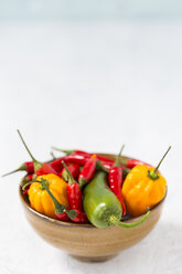 Bowl of various chili pods - JUNF01253