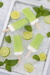 Lime mint popsicles, slices of limes and mint leaves on crushed ice - JUNF01254