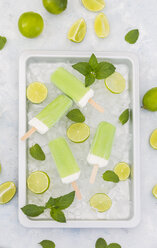 Lime mint popsicles, slices of limes and mint leaves on crushed ice - JUNF01255