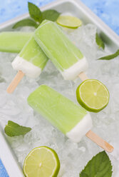 Lime mint popsicles, slices of limes and mint leaves on crushed ice - JUNF01257