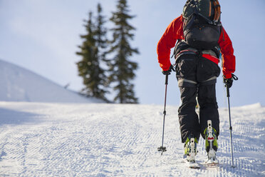 Mann beim Skilanglauf im North Cascades National Park, Washington State, USA - AURF05475