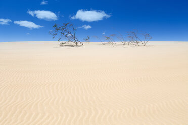 Sand dunes, near Corralejo, Fuerteventura, Canary Islands, Spain, Atlantic, Europe - AURF05517