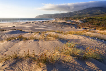 Sandkräuselungen auf Sanddünen am Strand, Guincho, Portugal - AURF05525