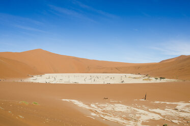 Landschaft mit abgestorbenen Bäumen in der Wüste, Deadvlei, Sossusvlei, Namib Naukluft National Park, Namib-Wüste, Namibia - AURF05559