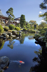 Sommertag mit Blick auf einen Koi-Teich in Japan - AURF05587