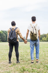 Back view of young gay couple with backpacks standing hand in hand on a meadow - FBAF00059