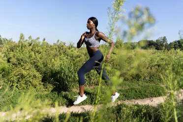 Junger Sportler beim Joggen auf den Feldern - GIOF04444