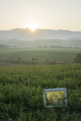 Italien, Toskana, Borgo San Lorenzo, Sonnenaufgang über ländlicher Landschaft mit Fensterrahmen im Feld - FBAF00089