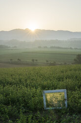 Italy, Tuscany, Borgo San Lorenzo, sunrise above rural landscape with window frame in field - FBAF00089