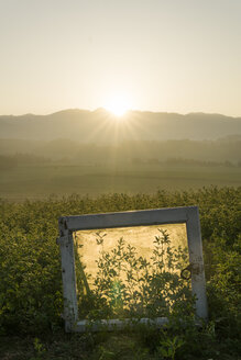Italien, Toskana, Borgo San Lorenzo, Sonnenaufgang über ländlicher Landschaft mit Fensterrahmen im Feld - FBAF00090
