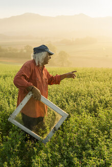 Italien, Toskana, Borgo San Lorenzo, älterer Mann hält Fensterrahmen im Feld bei Sonnenaufgang - FBAF00094