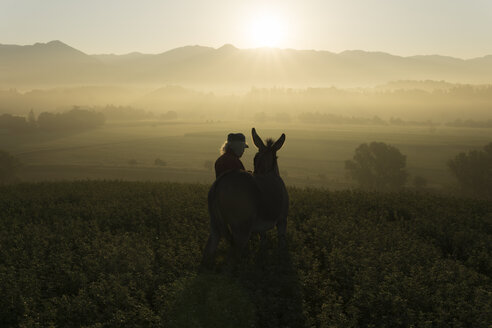 Italien, Toskana, Borgo San Lorenzo, älterer Mann steht mit Esel auf einem Feld bei Sonnenaufgang über einer ländlichen Landschaft - FBAF00097