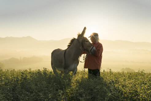 Italien, Toskana, Borgo San Lorenzo, älterer Mann steht mit Esel auf einem Feld bei Sonnenaufgang über einer ländlichen Landschaft - FBAF00098