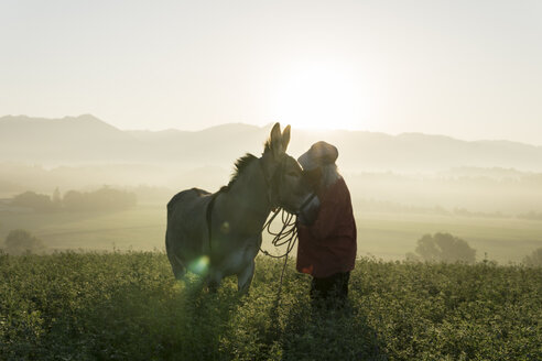 Italien, Toskana, Borgo San Lorenzo, älterer Mann steht mit Esel auf einem Feld bei Sonnenaufgang über einer ländlichen Landschaft - FBAF00099