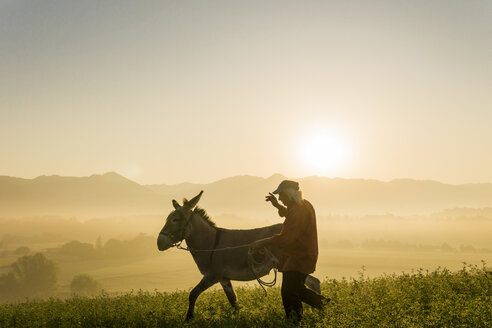 Italien, Toskana, Borgo San Lorenzo, älterer Mann mit Esel auf einem Feld bei Sonnenaufgang über einer ländlichen Landschaft - FBAF00102