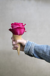 Mädchenhand hält Eiswaffel mit rosa Rosenblüte - PSTF00225