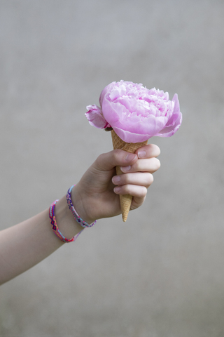 Mädchenhand hält Eistüte mit Blumenkopf aus rosa Pfingstrose, lizenzfreies Stockfoto