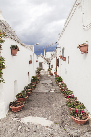 Italien, Apulien, Alberobello, Blick auf Gasse mit Blumenkübelreihen, lizenzfreies Stockfoto