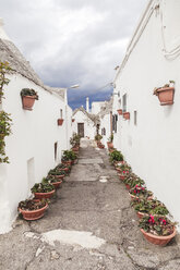 Italy, Apulia, Alberobello, view to alley with rows of flowerpots - FLMF00053