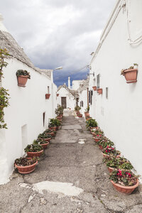 Italy, Apulia, Alberobello, view to alley with rows of flowerpots - FLMF00053