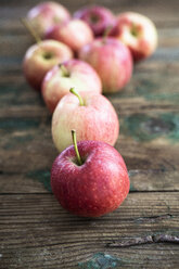 Äpfel für die Zubereitung von Apple Pie auf Holz - GIOF04483