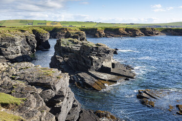 Großbritannien, Schottland, Orkney-Inseln, Birsay, felsige Klippen an der Nordküste von Mainland - ELF01923