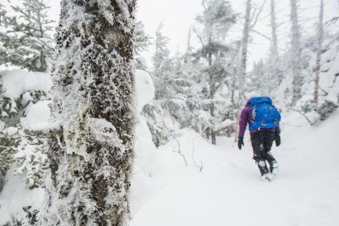 Winterwandern in den White Mountains von New Hampshire - AURF05720