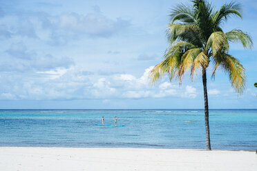 Two people stand up paddle in Oil Nut Bay, Virgin Gorda - AURF05737