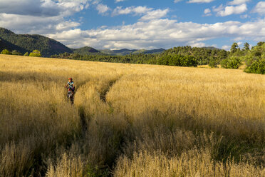 Young girl riding mountain bike through a grass field in Falls Creek - AURF05771