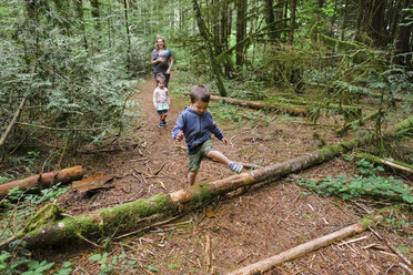 Junge Kinder wandern auf dem Horse Rock Ridge Trail in der Nähe von Eugene, Oregon. - AURF05804