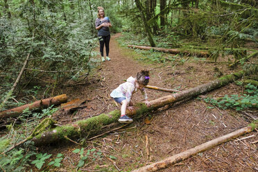 Junge Kinder wandern auf dem Horse Rock Ridge Trail in der Nähe von Eugene, Oregon. - AURF05805