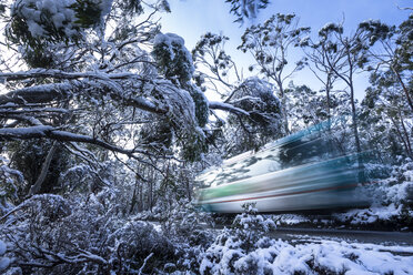 Ein Shuttlebus fährt durch die verschneiten Bäume in Tasmaniens Cradle Mountain. - AURF05889