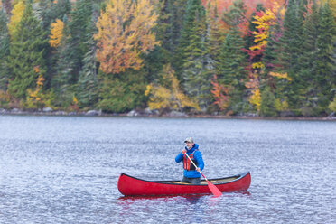 A man canoeing on Greenough Pond in Wentworths Location, New Hampshire. Fall. Northern Forest. - AURF05906