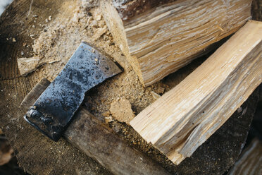 Axe and chopped firewood - AURF05969