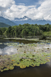 Landschaft des Atlantischen Regenwaldes, Ökologisches Reservat Guapiacu, Bundesstaat Rio de Janeiro, Brasilien - AURF06049